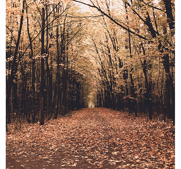Toile fenêtre salon forêt automnale magnifique - TenStickers