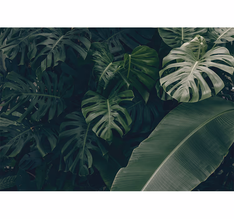 Toile fenêtre salon forêt tropicale verte magnifique - TenStickers
