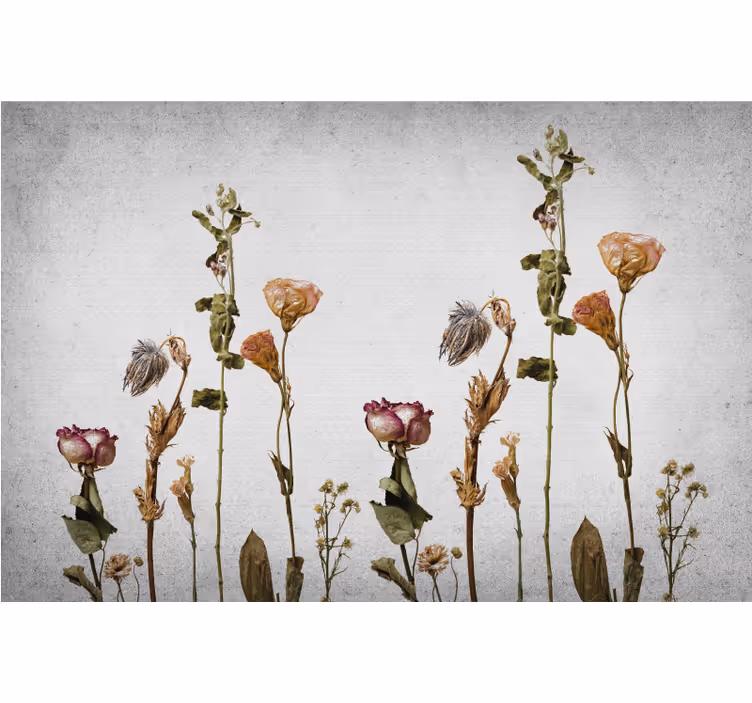 Toile fenêtre salon plantes sèches scandinaves - TenStickers