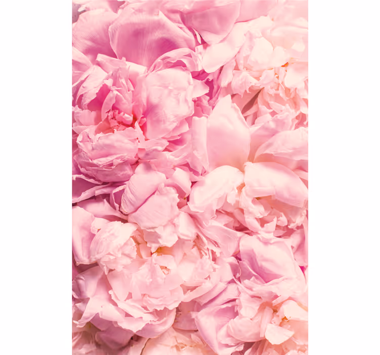 Toile fenêtre chambre fleurs de pivoine réalistes - TenStickers