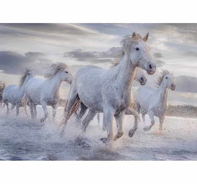 Toile blanche fenêtre fresque chevaux arrosés - TenStickers