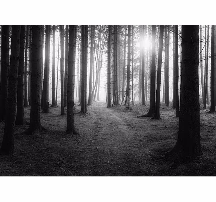 Toile fenêtre gris forêt enchantée - TenStickers