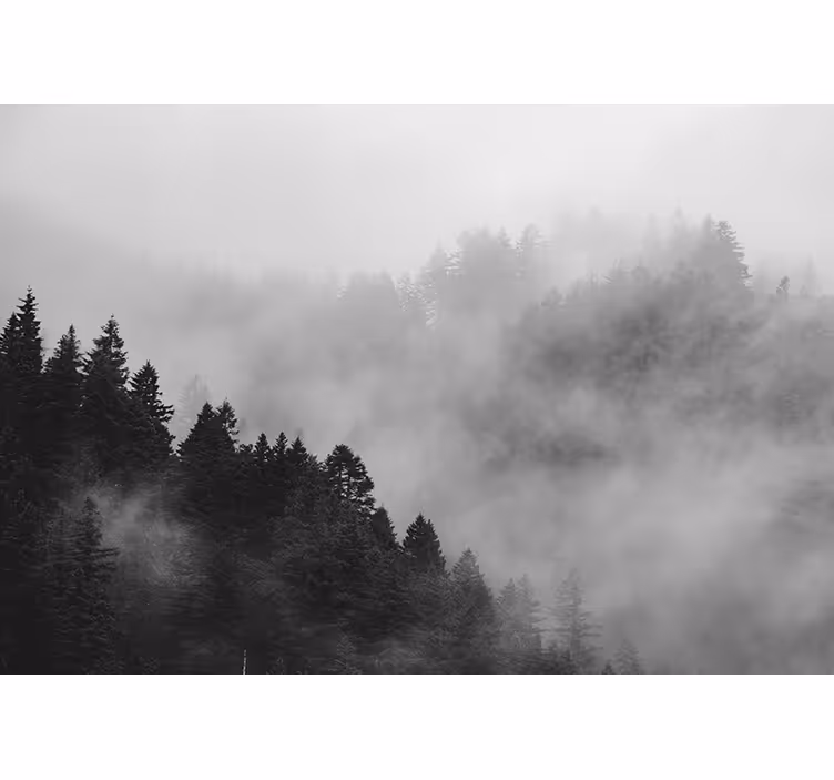 Toile fenêtre gris forêt brumeuse noir et blanc - TenStickers