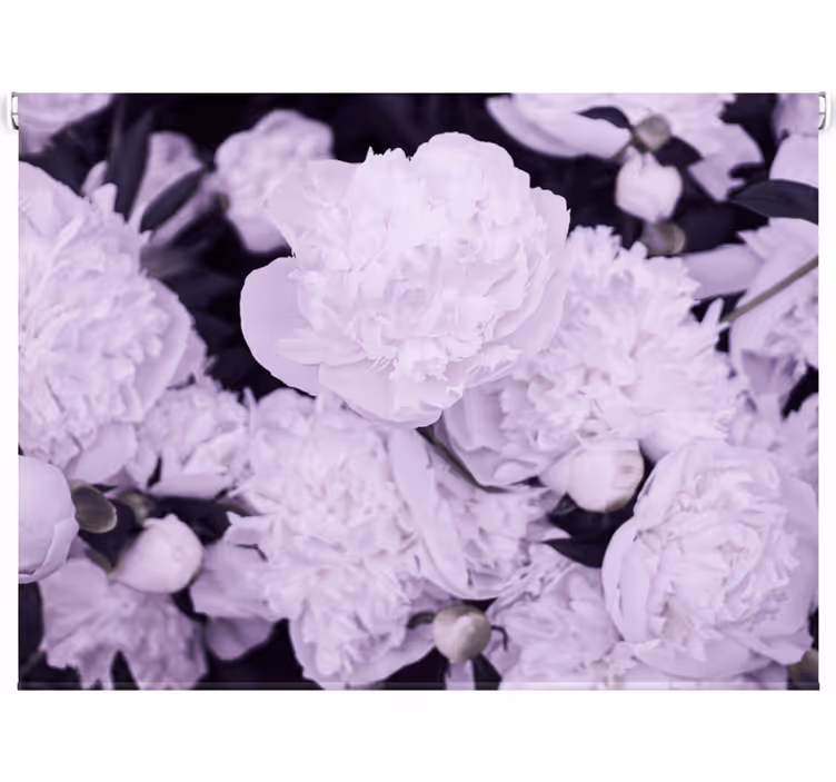 Toile fenêtre salon pivoines roses élégantes féminines - TenStickers