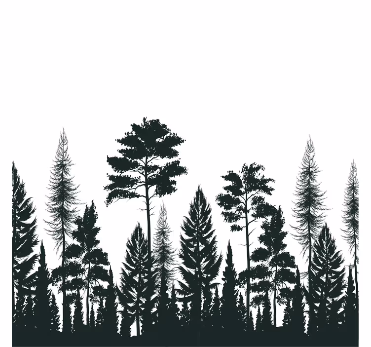 Toile fenêtre salon silhouette de pins - TenStickers