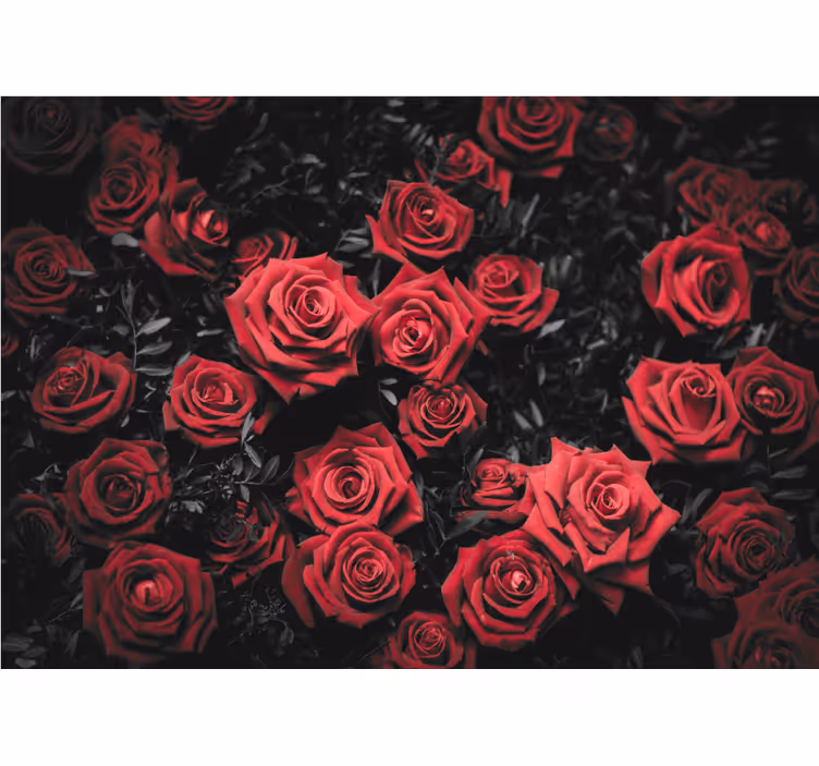 Toile fenêtre chambre noir et blanc avec roses rouges - TenStickers