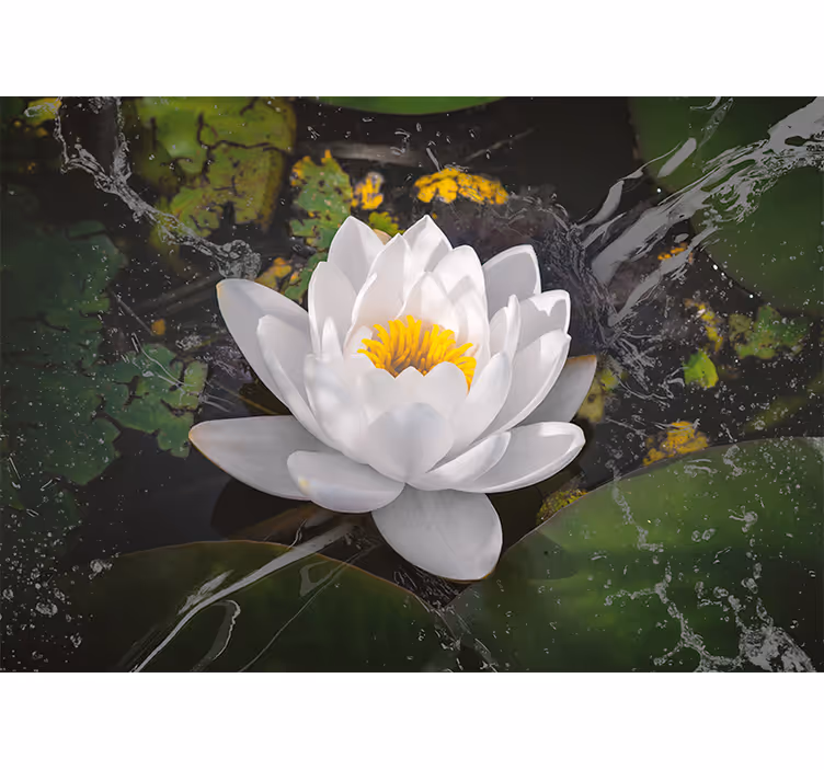 Toile fenêtre chambre lotus blanc et jaune - TenStickers