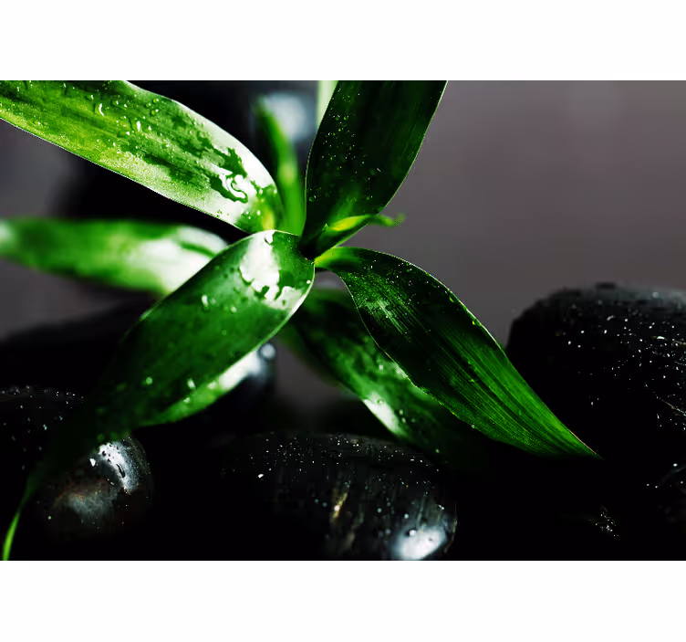 Toile fenêtre chambre pierres noires zen sur l'eau - TenStickers