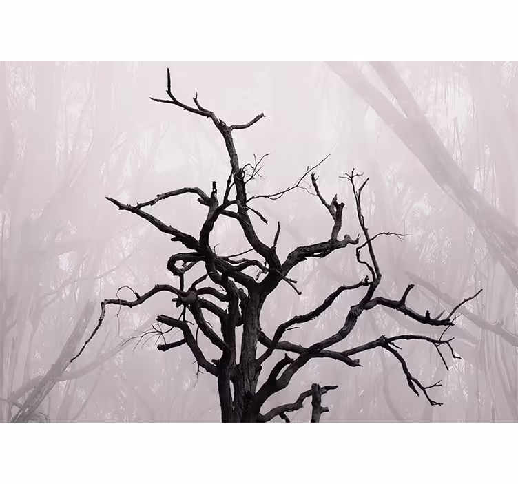 Toile fenêtre chambre branches de forêt dans le brouillard - TenStickers