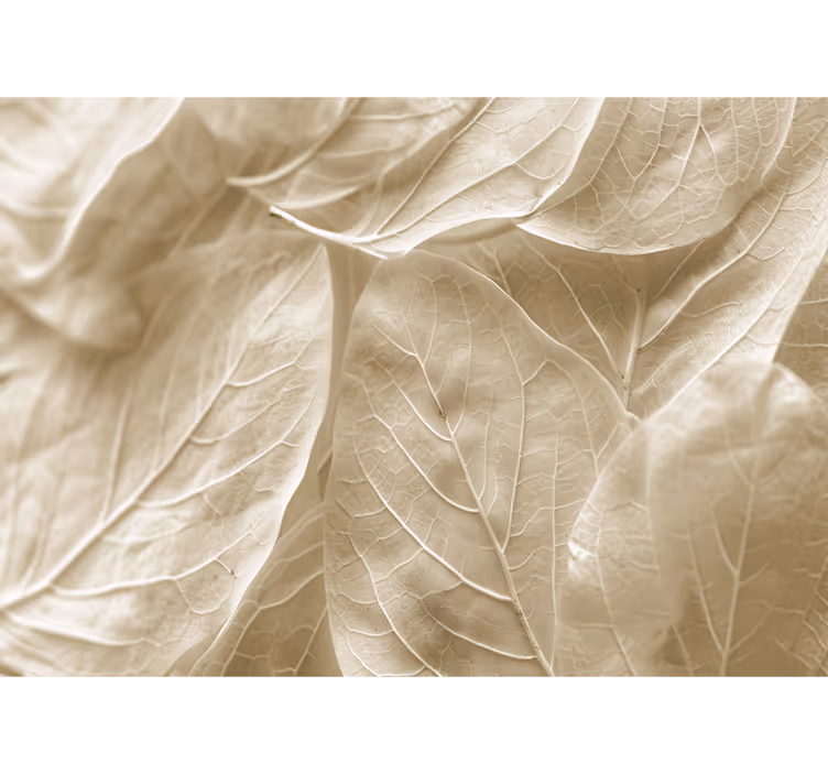 Toile fenêtre chambre grandes feuilles beiges - TenStickers