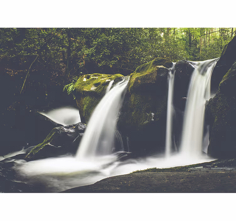 Toile fenêtre chambre cascade nature forêt - TenStickers