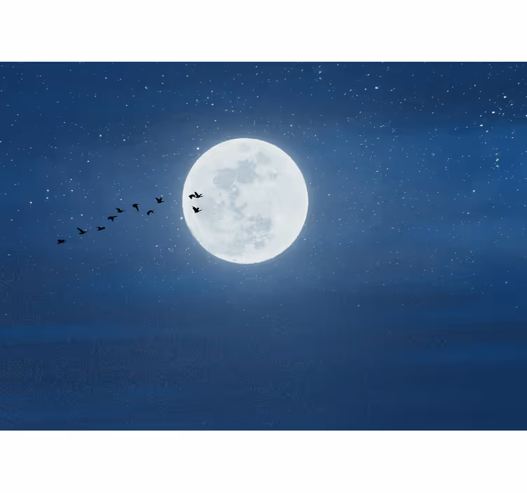 Toile fenêtre salon lune pleine et ciel - TenStickers