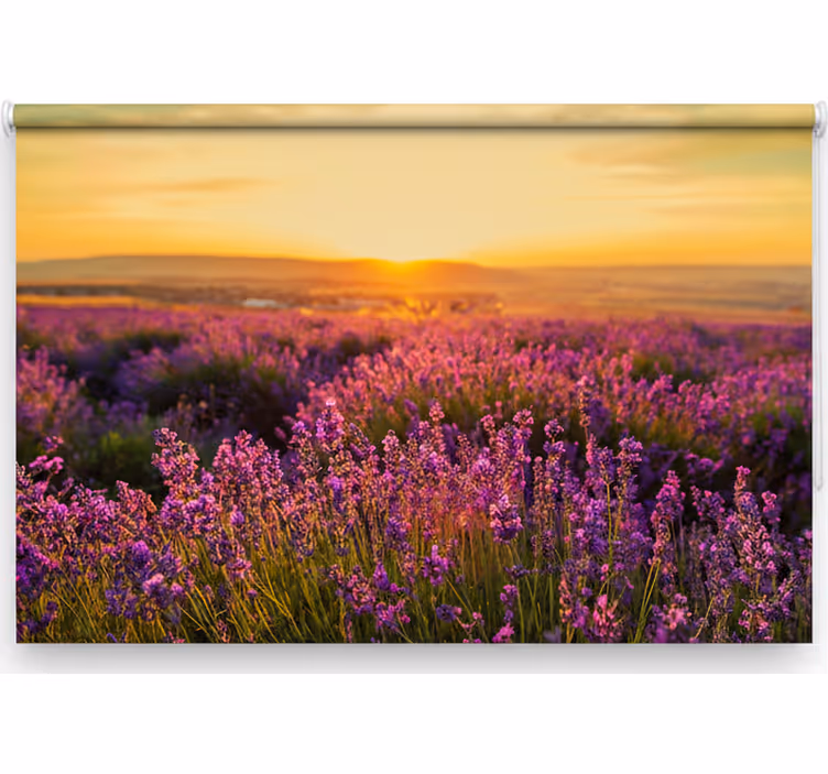 Toile fenêtre chambre panoramique provence - TenStickers