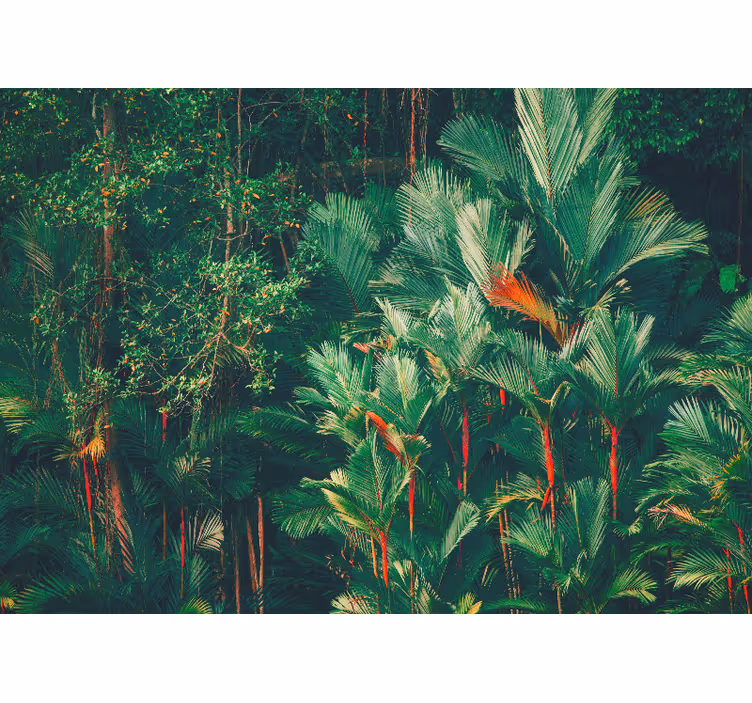 Toile fenêtre chambre matin en jungle - TenStickers