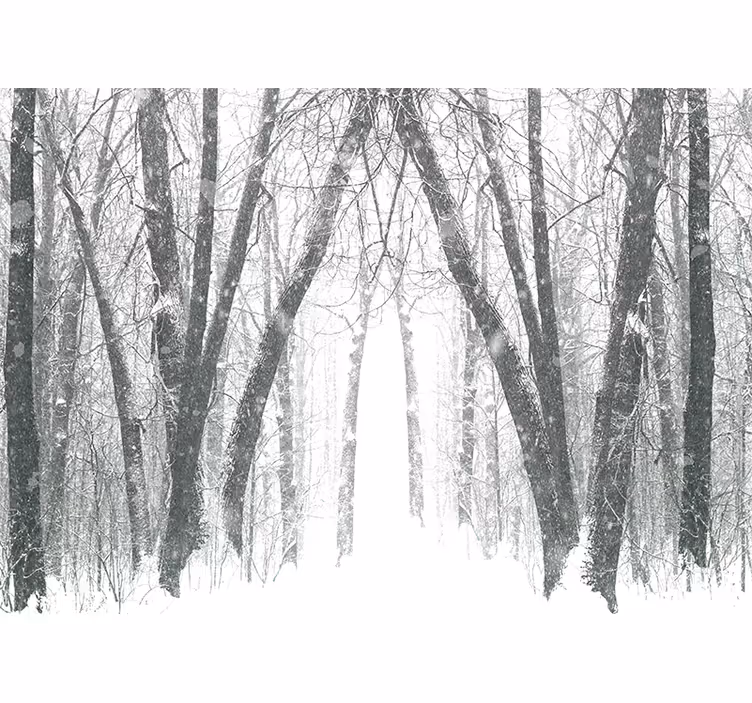 Toile fenêtre chambre arbres d'hiver en forêt - TenStickers