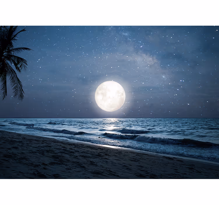 Toile fenêtre chambre clair de lune sur océan - TenStickers