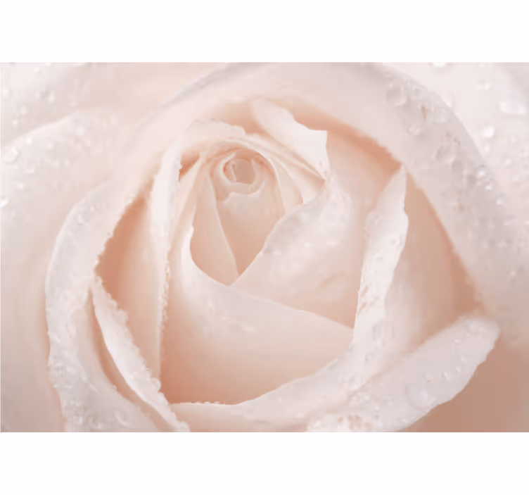 Toile blanche fenêtre rose blanche magnifique - TenStickers