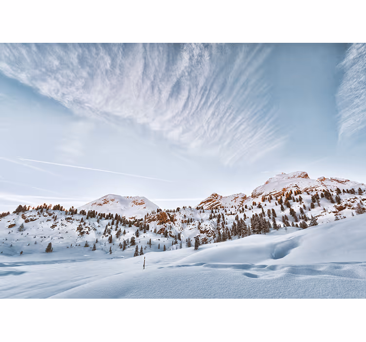 Toile blanche fenêtre montagnes enneigées - TenStickers