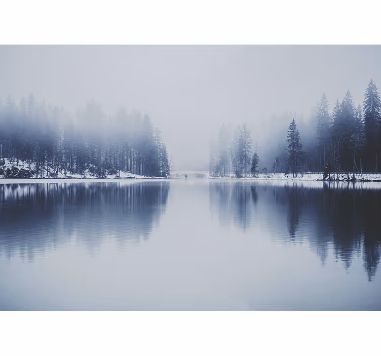 Toile blanche fenêtre forêt brumeuse d'hiver - TenStickers