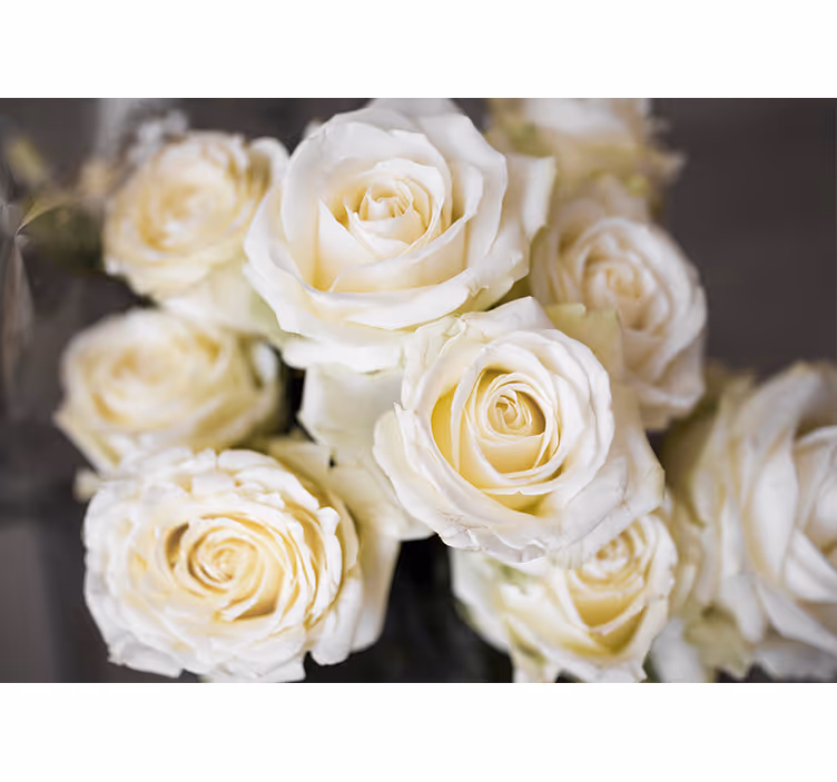 Toile blanche fenêtre fond de roses blanches - TenStickers