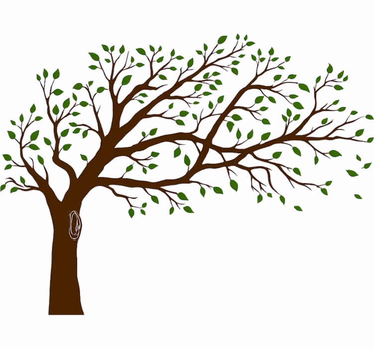 Toile blanche fenêtre arbre coloré de vérité - TenStickers