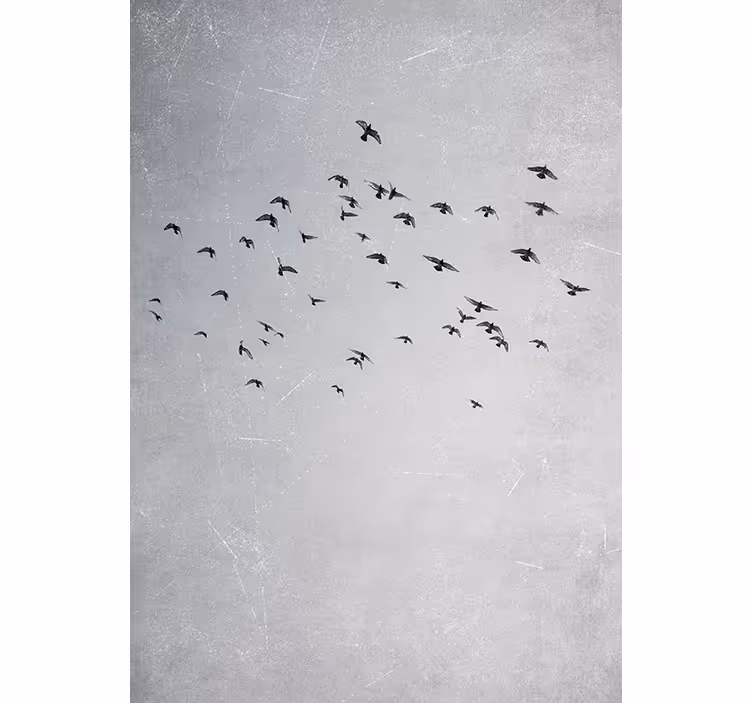 Toile fenêtre chambre oiseaux en vol - TenStickers