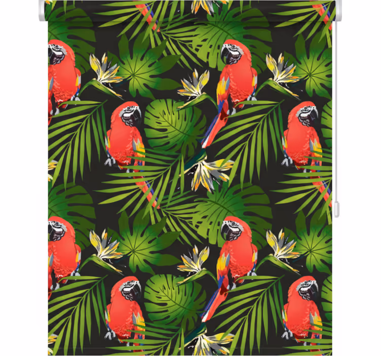 Toile fenêtre cuisine perroquets colorés sur fond gris - TenStickers