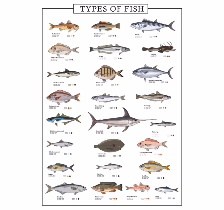 Toile fenêtre cuisine poissons décoratifs - TenStickers