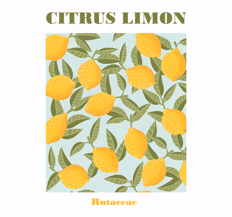 Toile fenêtre cuisine citron fruit - TenStickers