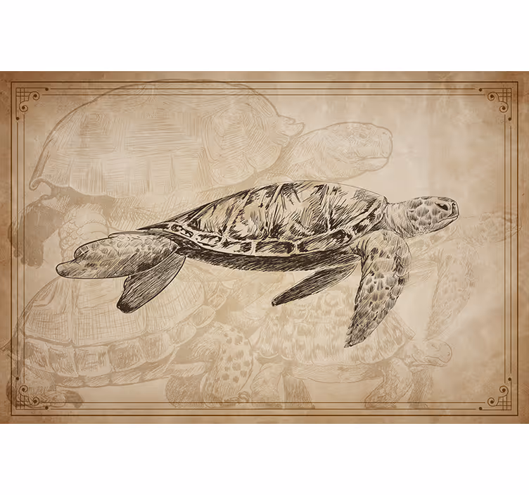 Toile fenêtre beige avec différentes tortues dessinées - TenStickers