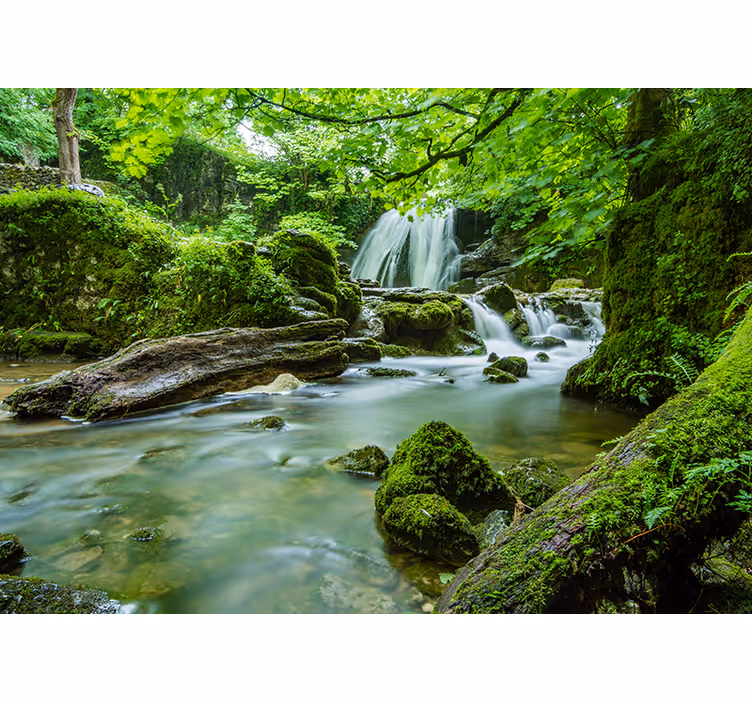 Toile fenêtre chambre paysage 3d forêt avec cascade - TenStickers