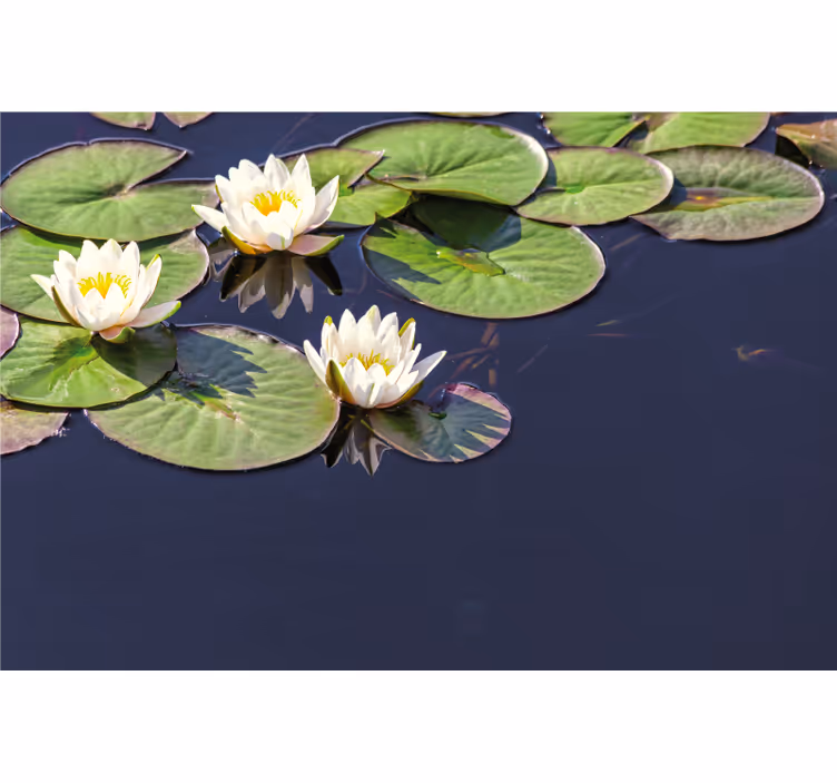 Toile fenêtre chambre lotus réaliste dans un étang - TenStickers