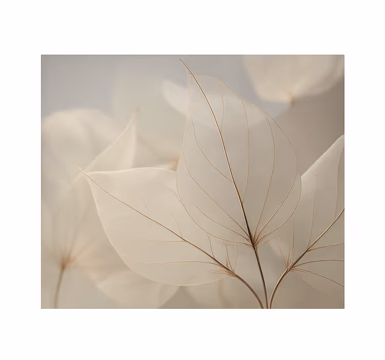 Toile fenêtre salon feuilles squelettiques blanches - TenStickers