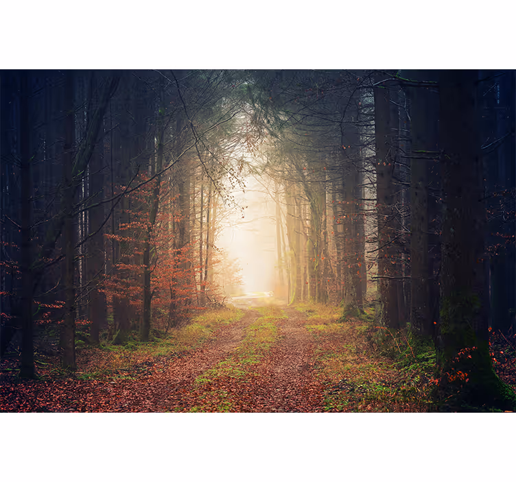 Toile fenêtre salon chemin d'automne - TenStickers