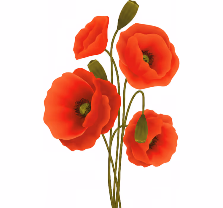 Toile fenêtre fleur coquelicots - TenStickers