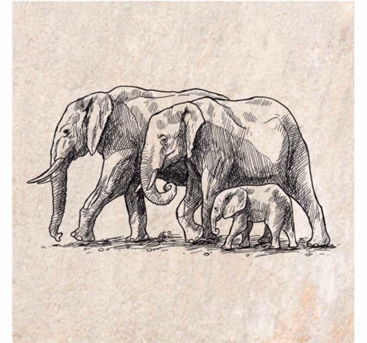 Toile fenêtre animaux croquis d'éléphants - TenStickers