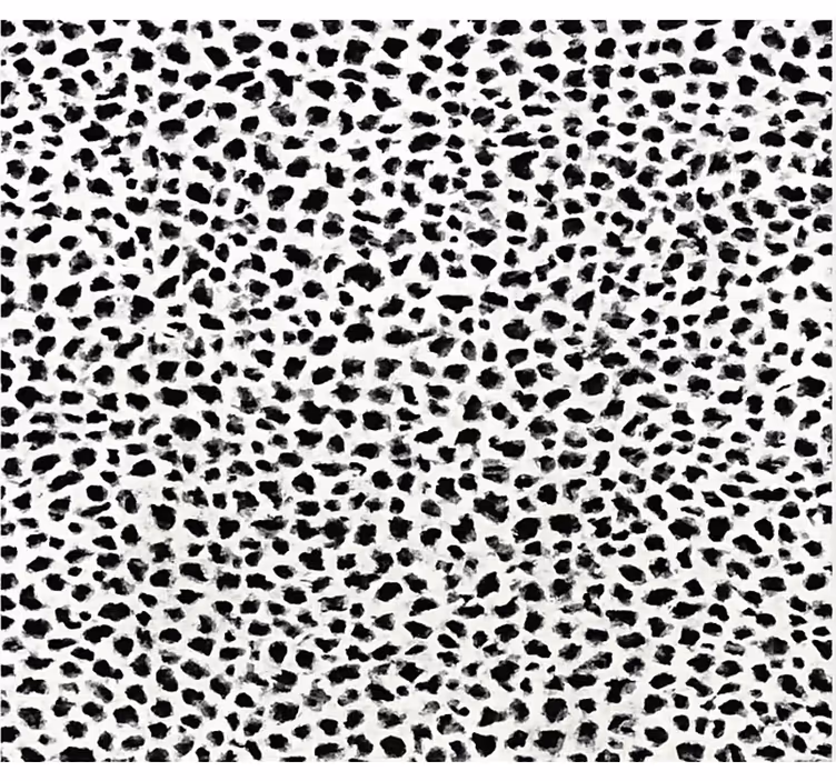 Toile noire fenêtre imprimé léopard monochrome - TenStickers