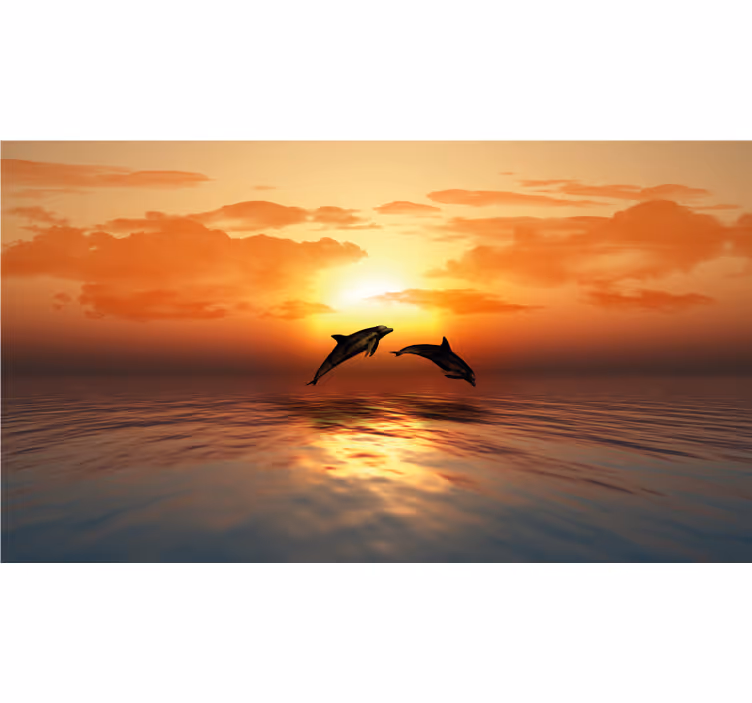 Toile fenêtre salle de bain 3d dauphins nageant - TenStickers