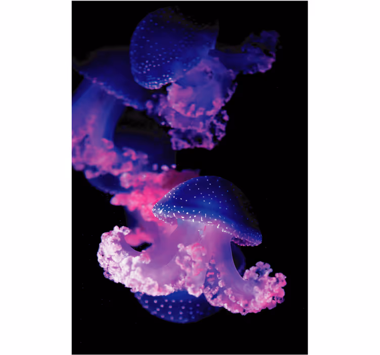 Toile fenêtre salle de bain méduse violette - TenStickers