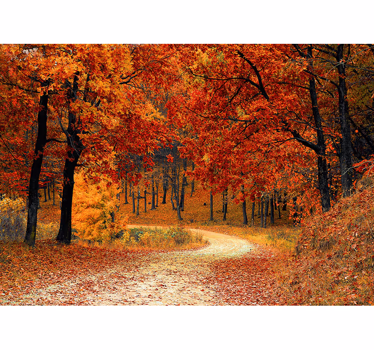 Toile fenêtre orange papier peint - arbres d'automne - TenStickers