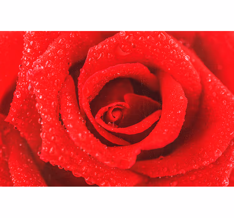 Toile fenêtre rouge fleur rose - TenStickers
