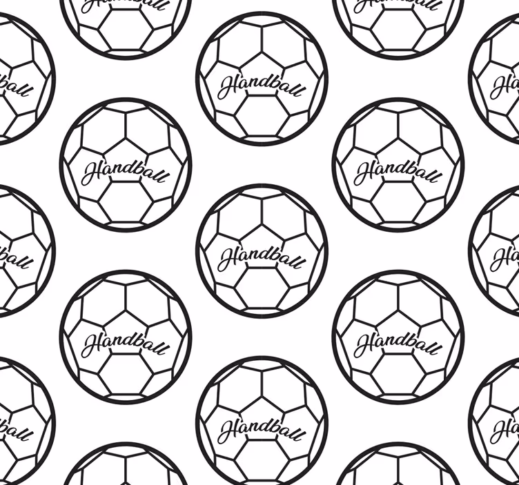 Toile fenêtre chambre adolescent handball - TenStickers