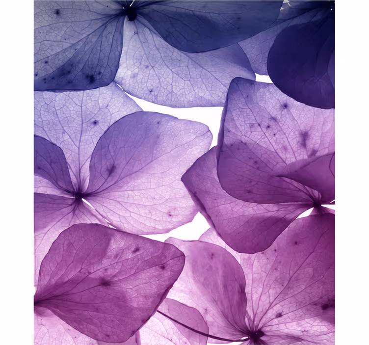 Toile fenêtre violet floral joyeux et paisible - TenStickers