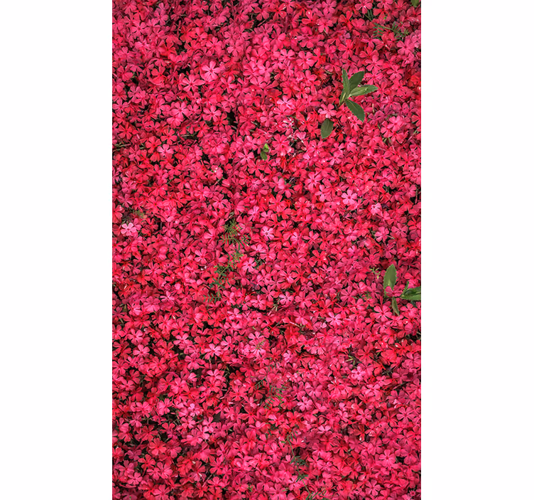 Toile fenêtre fleurs et plantes abondance vibrante - TenStickers