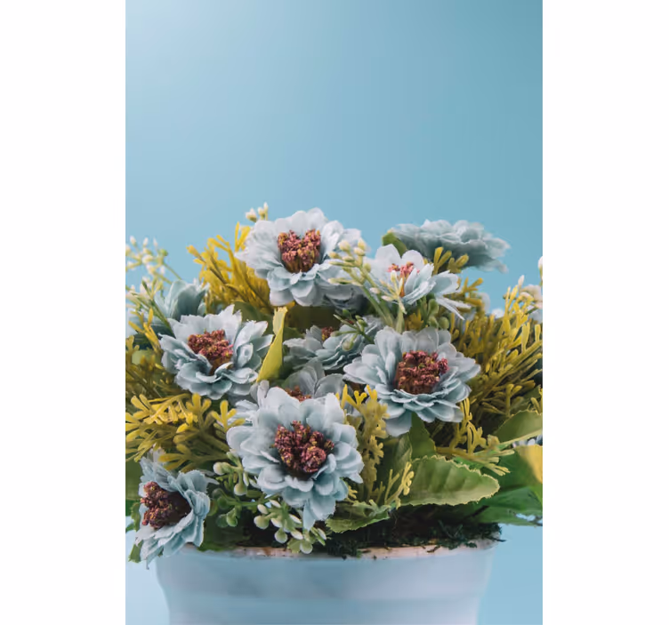 Toile fenêtre fleurs et plantes arrangement succulent - TenStickers