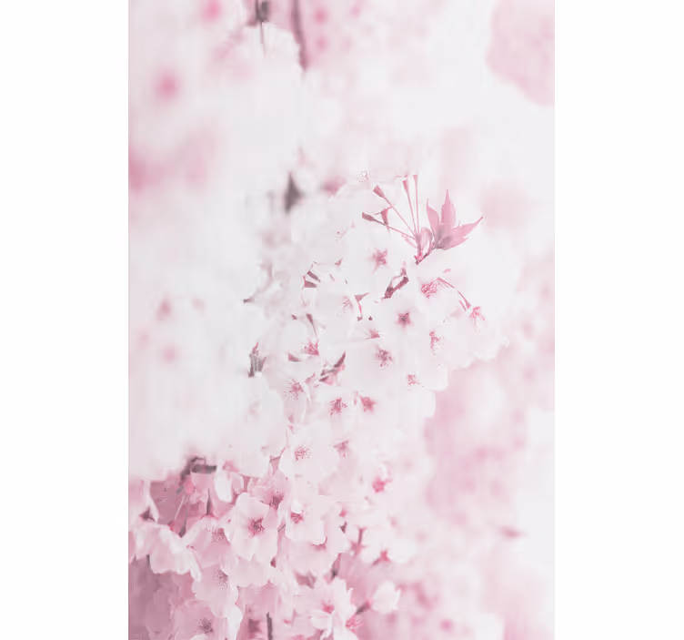 Stores fleurs Fond de fleur rose clair - TenStickers