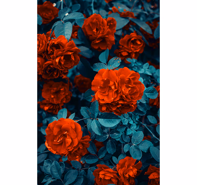 Stores fleurs Fleur d'oeillet rouge et feuilles - TenStickers