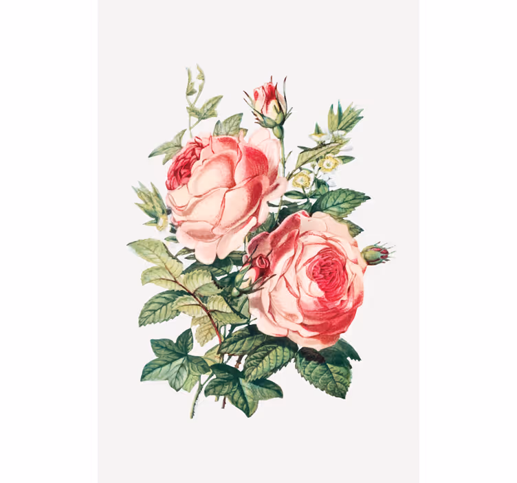 Toile fenêtre fleurs et plantes fleurs de rose romantiques - TenStickers