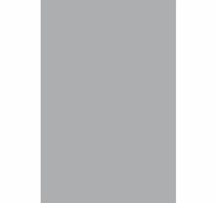 Toile fenêtre opaque rouleau gris élégant - TenStickers