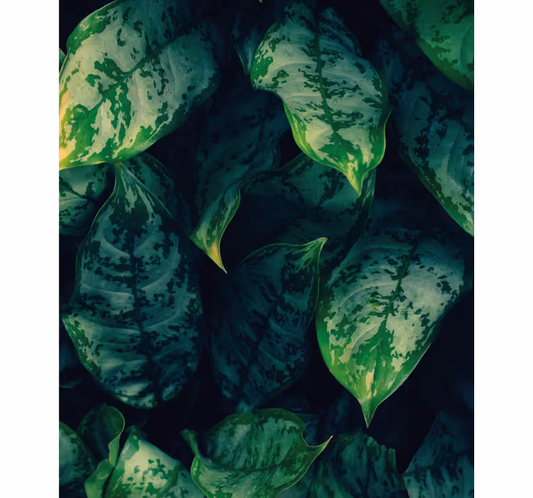 Toile fenêtre fleurs et plantes feuilles vertes vibrantes - TenStickers